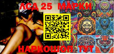 apvp Можга