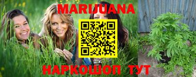 apvp Можга