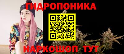 apvp Можга
