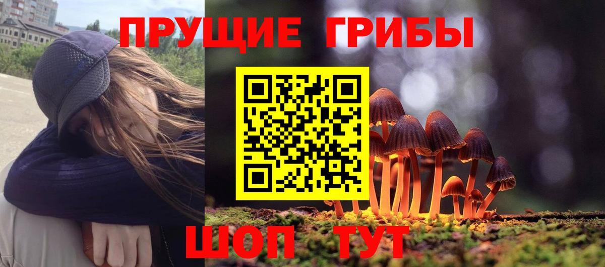 Псилоцибиновые грибы Cubensis  Вход с VPN  Советск  Псилоцибиновые грибы прущие грибы 
